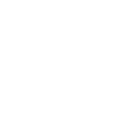 pro-icon-2