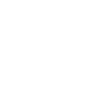 pro-icon-4